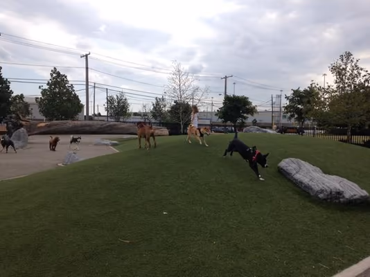 Dog Park at Maryland City Park photo 2